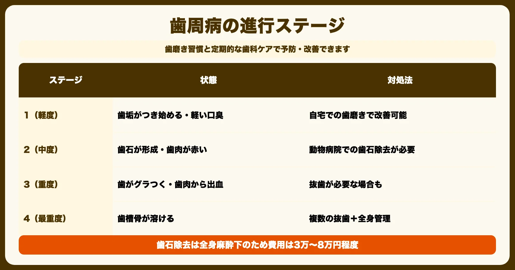 歯周病対策（最も多い原因）