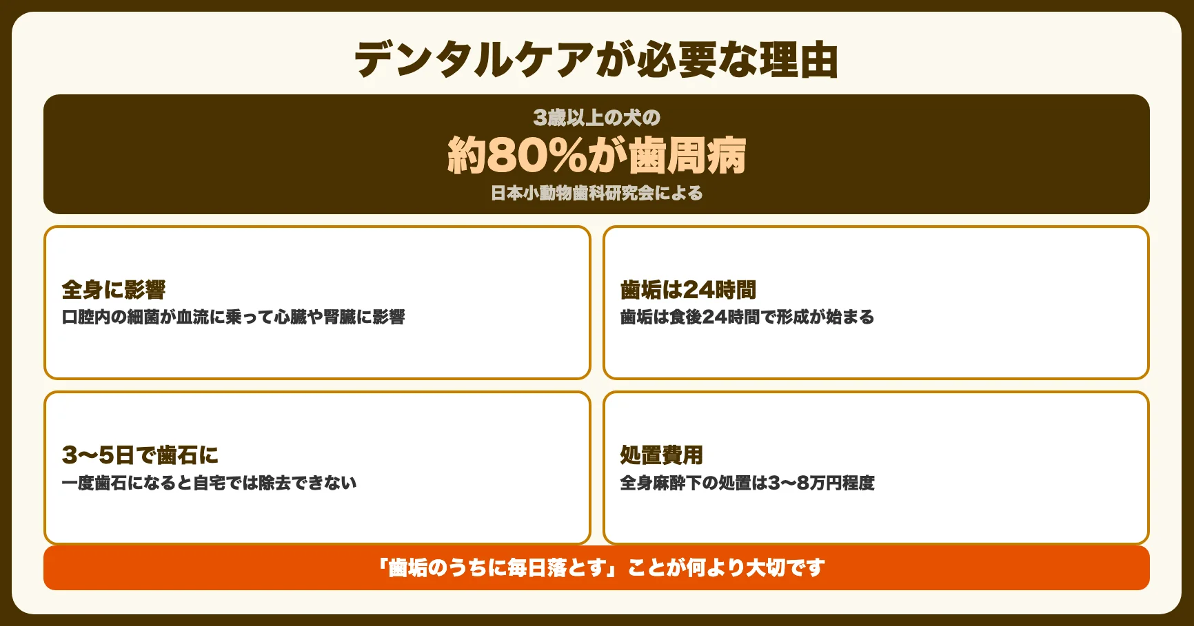 なぜ犬にデンタルケアが必要なのか
