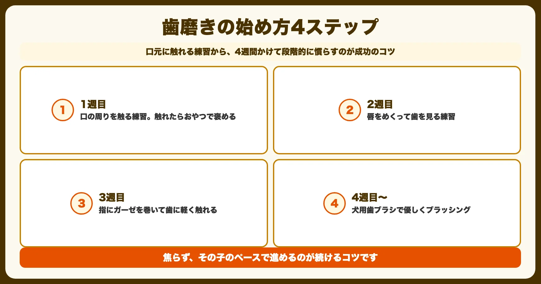 デンタルケアの始め方（4ステップ）