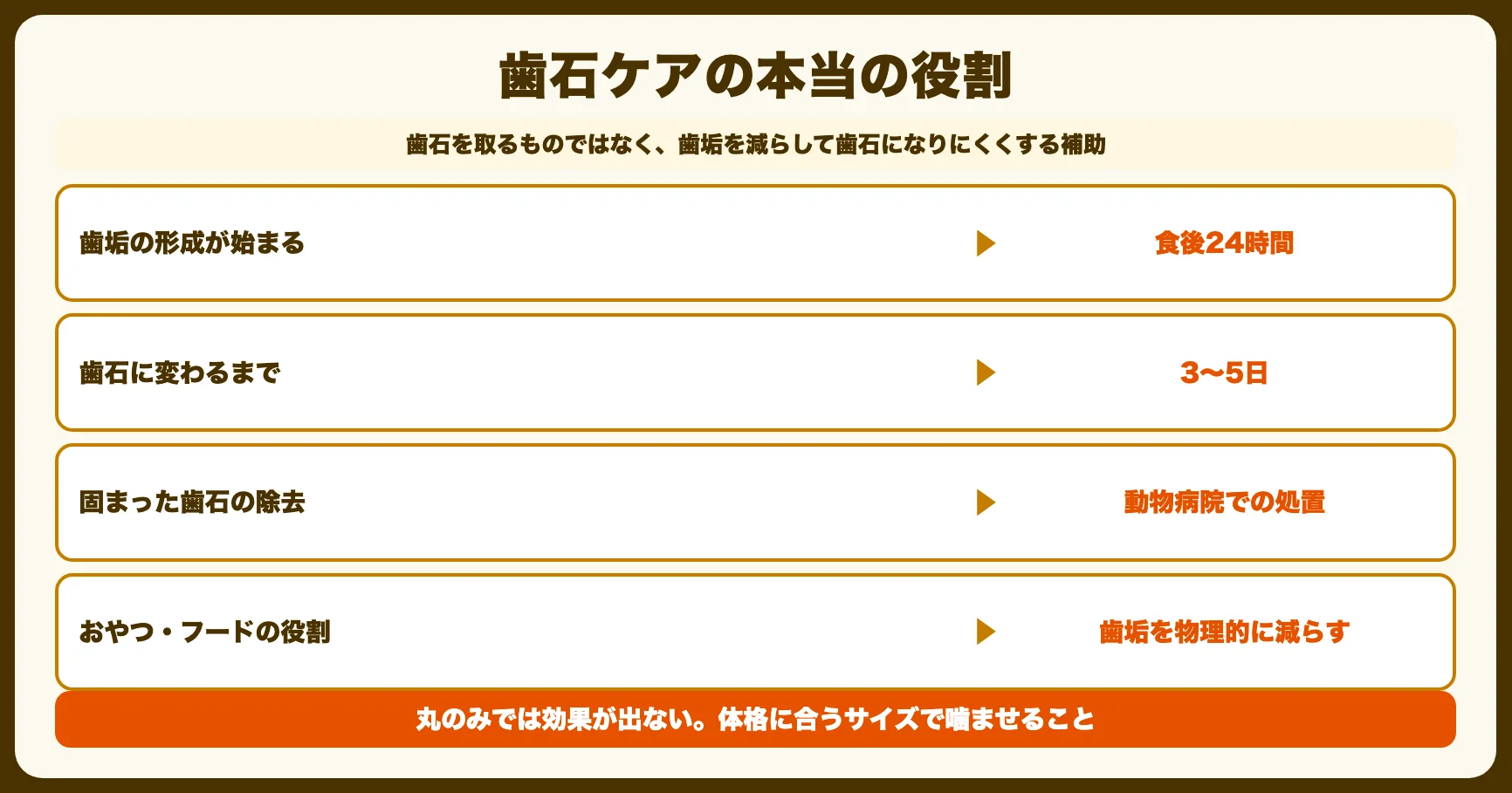 歯石ケアフード・おやつの「本当の役割」