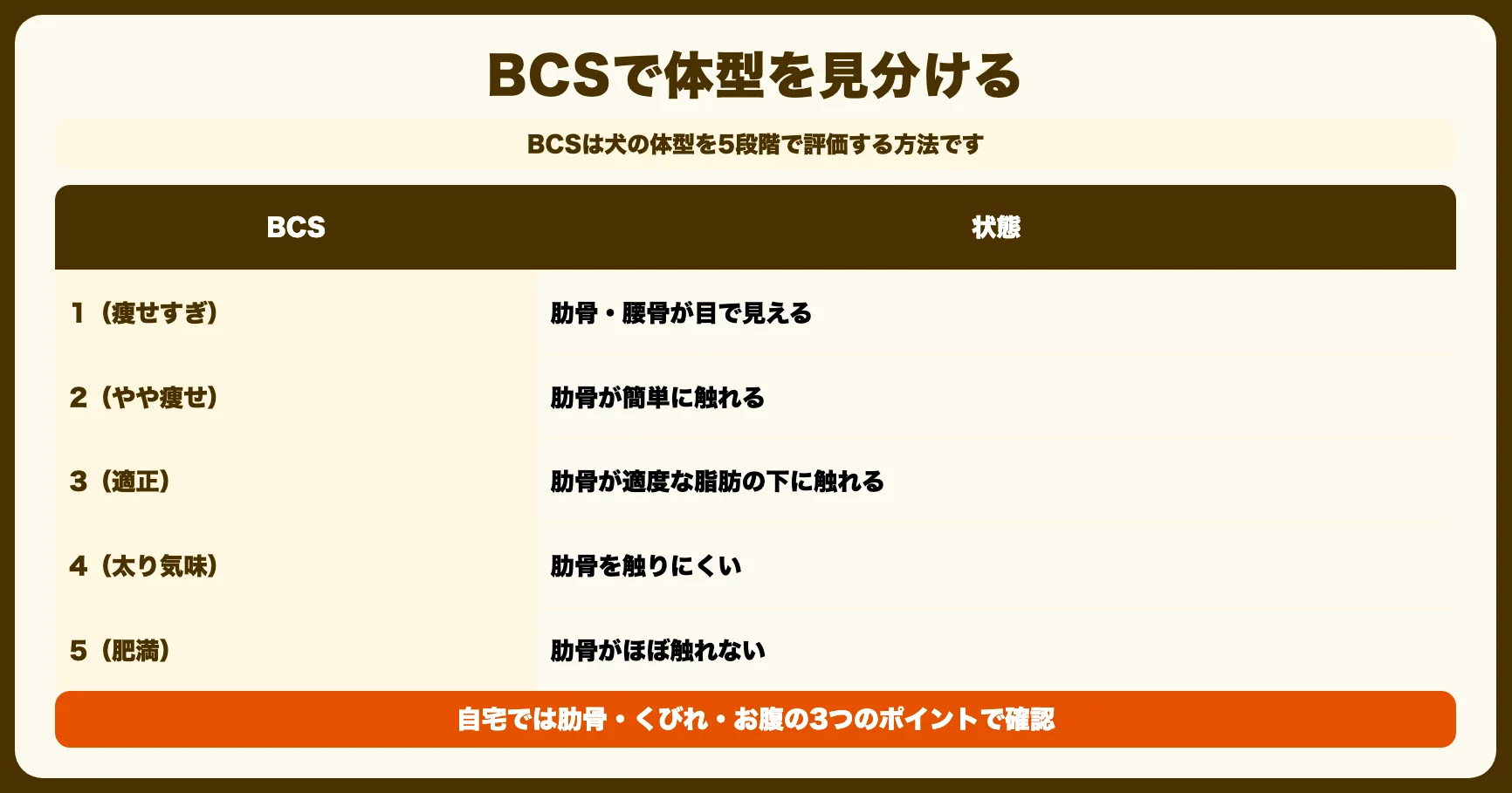 うちの犬は太ってる？BCSチェック