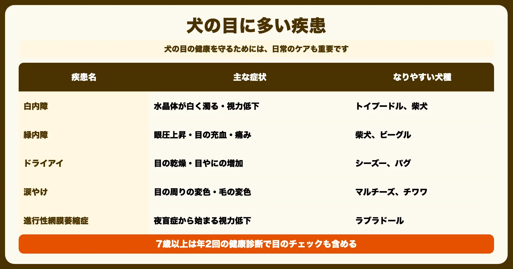 犬の目のケア基礎知識
