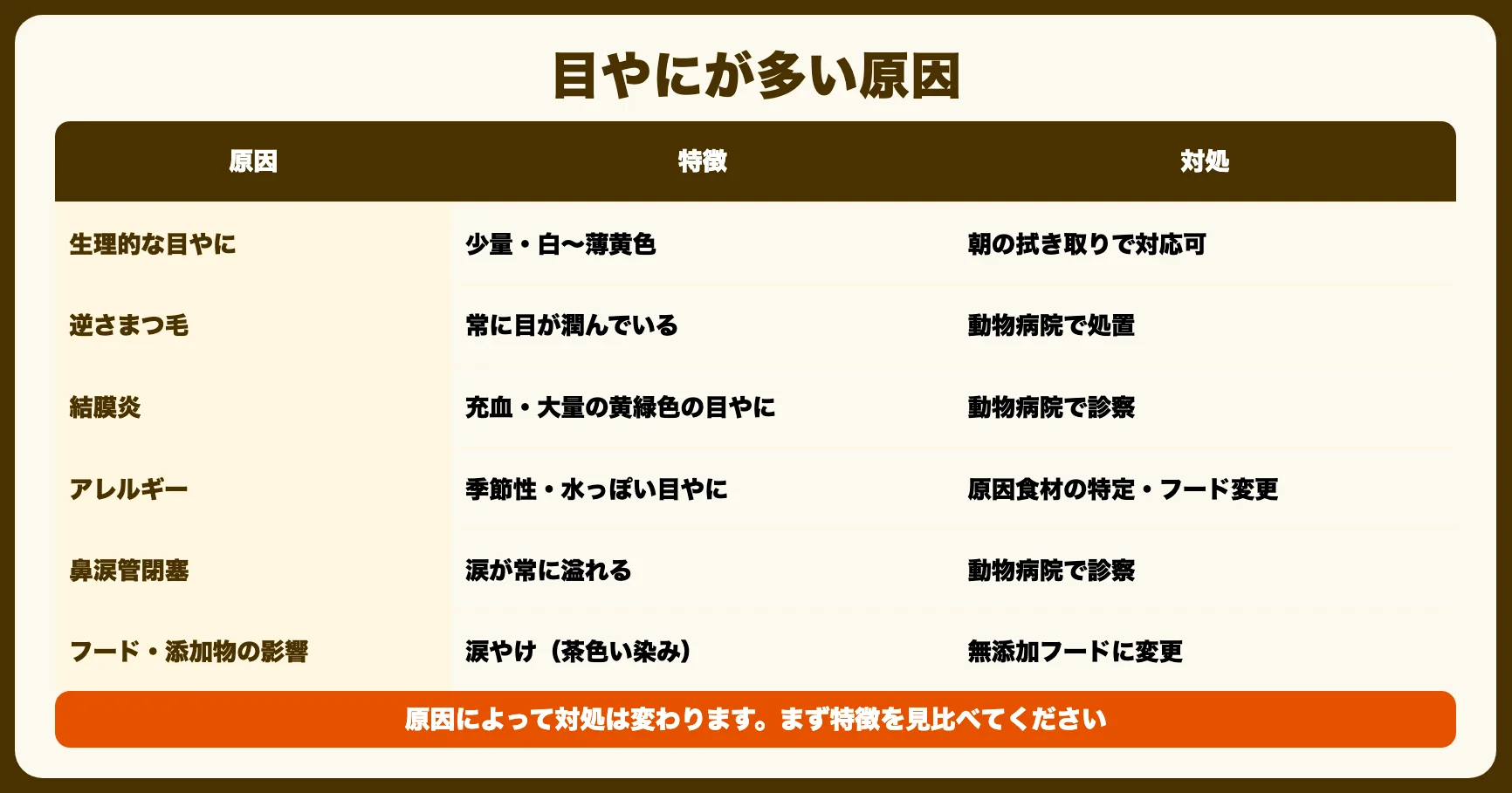 犬の目やにが多い原因
