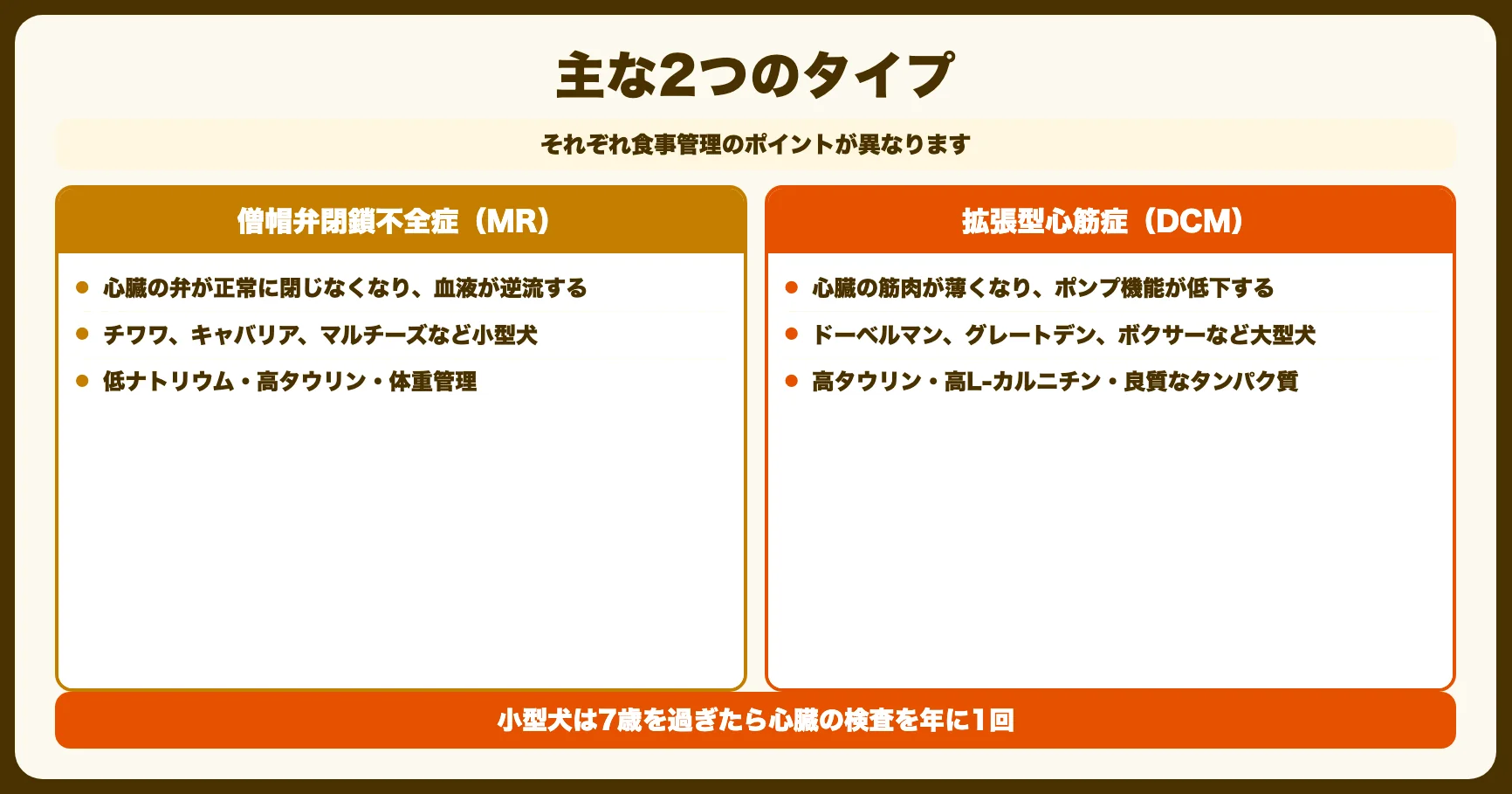 犬の心臓病の主な種類
