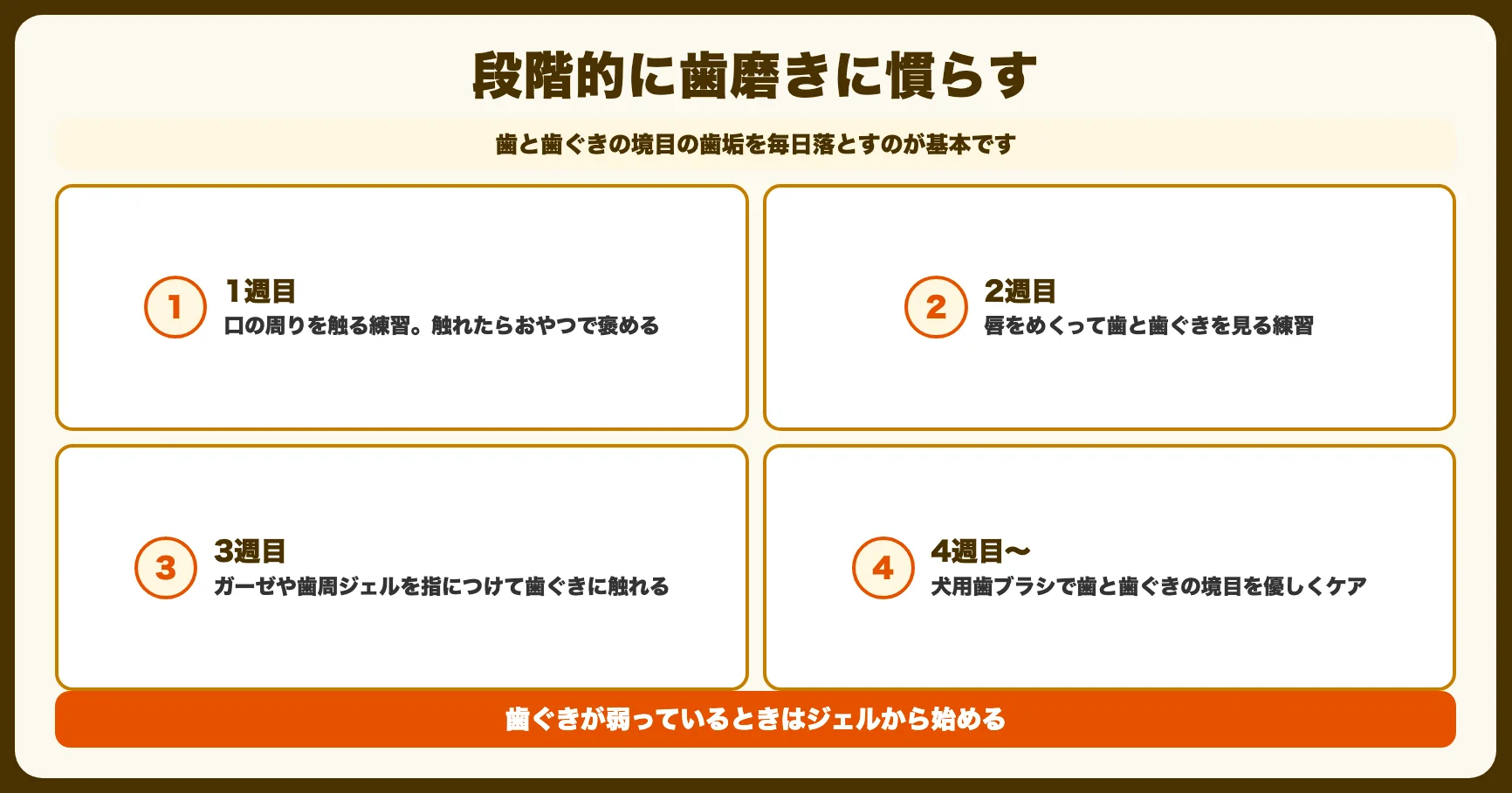 自宅でできる歯周病ケア