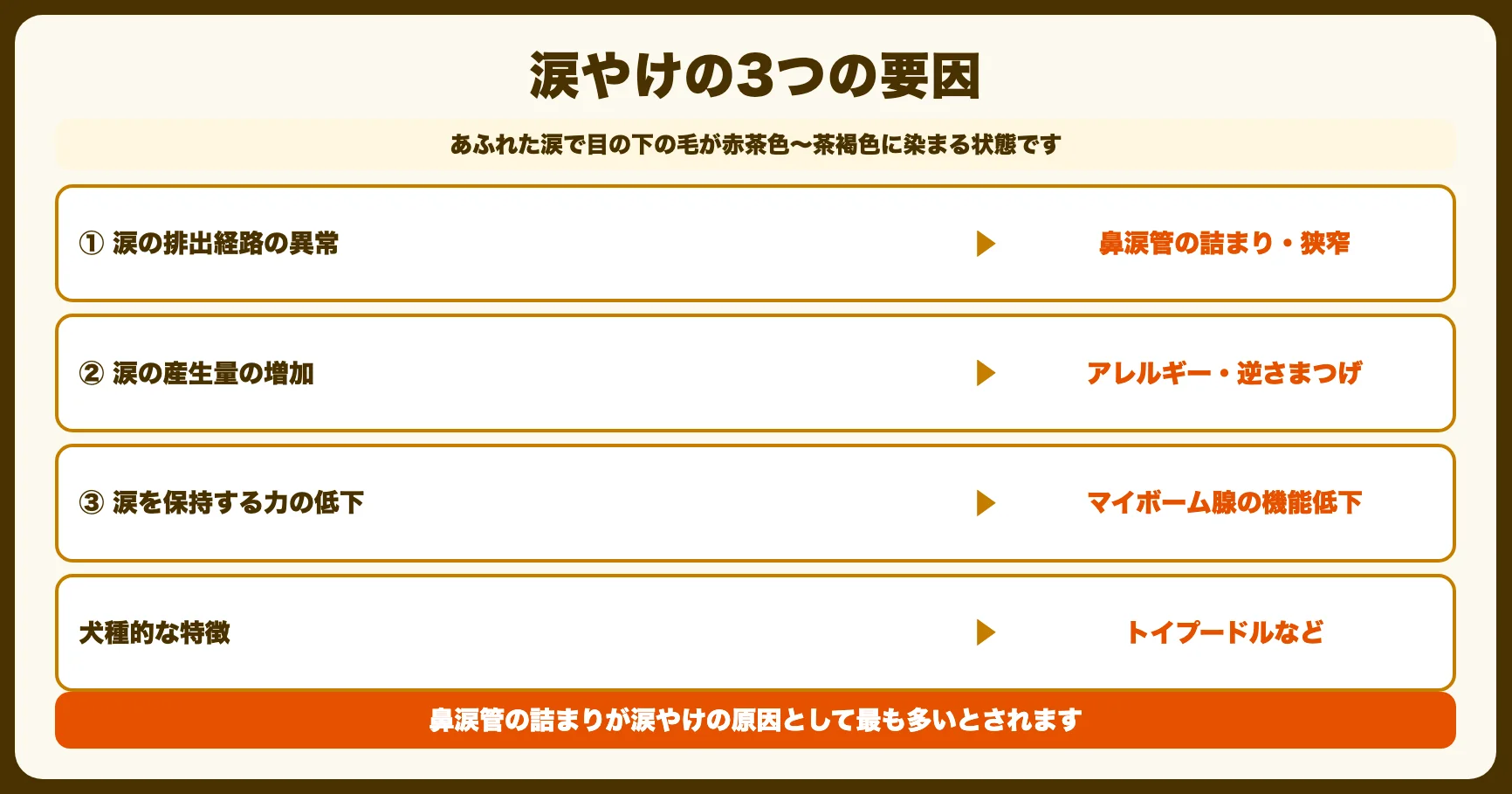 涙やけの原因