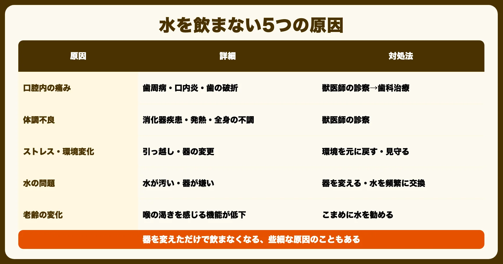 水を飲まない5つの原因