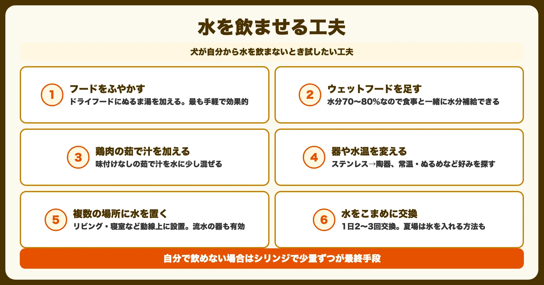 水を飲ませる10の工夫